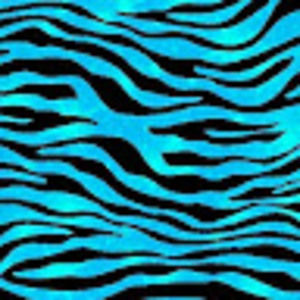 Meet your Posher, Laela